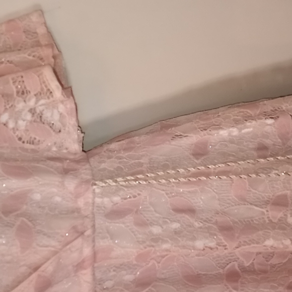 Blush Pink Lace Dress - Picture 6 of 12